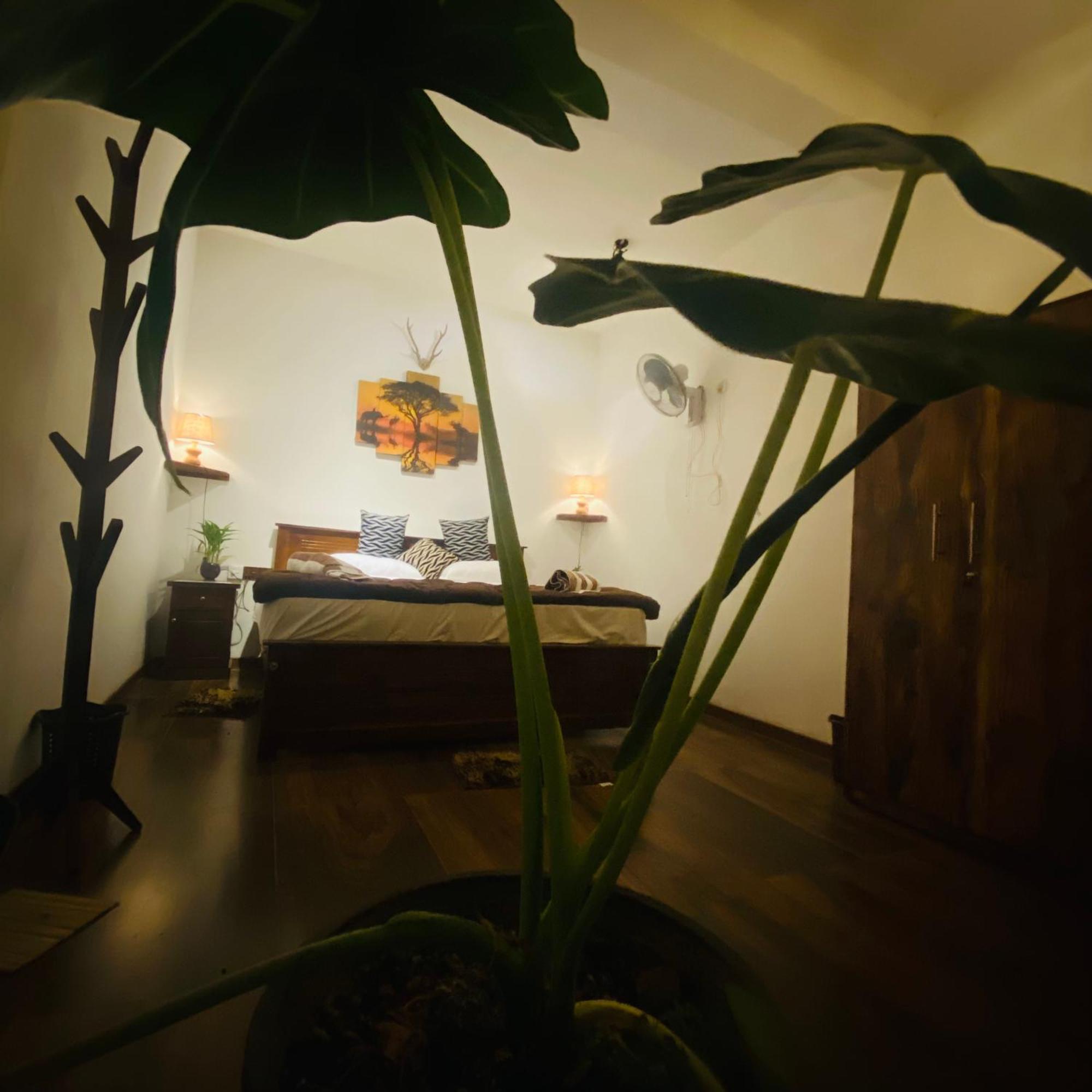 The Kingdom Of Ella Apartment Exterior foto
